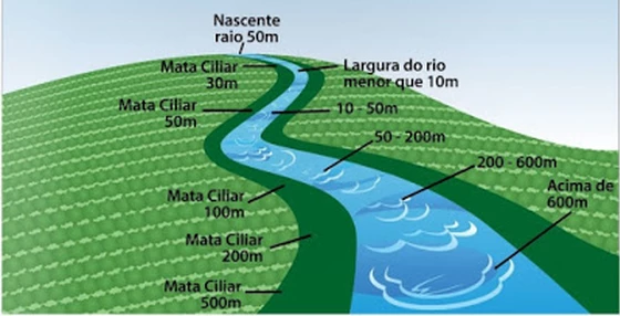 O Que É Mata Ciliar, A Importância De Preservá-La E Reconstituí-La – VGEMAL