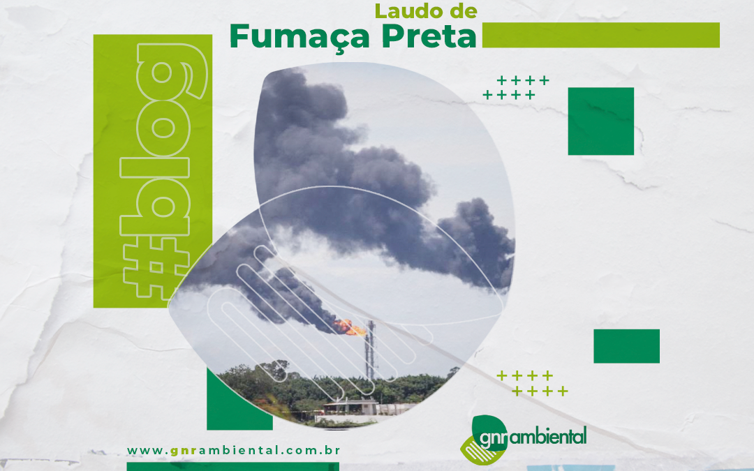 Laudo de Fumaça Preta – Escala Ringelmann